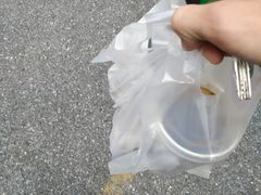 -华莱士·全鸡汉堡(湛江新华店)
