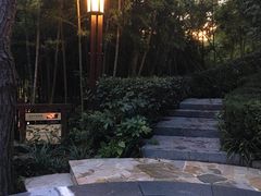 -天目湖涵田半山温泉