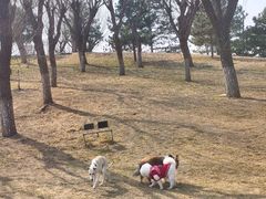 -小意思咖啡店(草桥店)