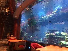 景观位-迪拜帆船酒店海底餐厅