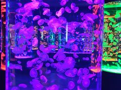 -石家庄极地海洋世界
