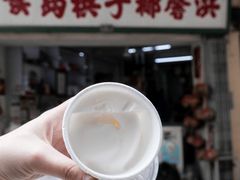 -洪馨椰子