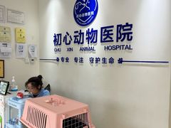 -初心动物医院