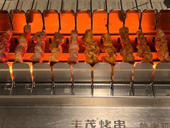 -丰茂烤串(五道口店)