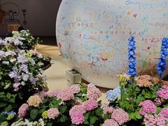 -上海长风大悦城