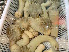 -大洋海鲜居·海鲜特色菜(墟沟海鲜美食城店)