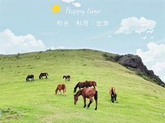 -大姆山草场