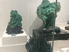 -安徽省地质博物馆