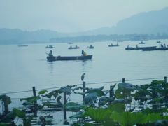 -湖畔居茶楼(湖滨店)