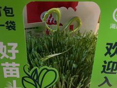 -海底捞火锅(长沙华创国际广场店)