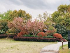 -浙江安吉JW万豪酒店