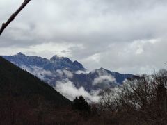 -黄龙山原始森林景区
