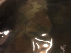 -中家鑫园温泉酒店鑫悦汤泉