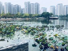 -新江湾城公园