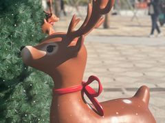 -深圳湾万象城(南山店)