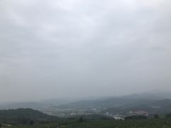-酒仙湖景区
