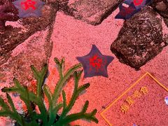 -沈阳海洋探索中心