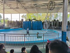 -泉州海丝野生动物世界