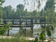 -野鸭湖国家湿地公园