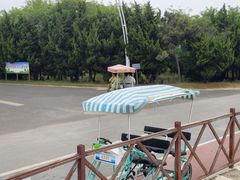 -日照海滨国家森林公园