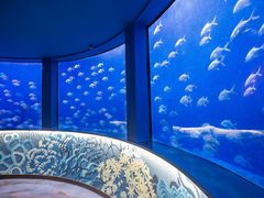 -沈阳海洋探索中心