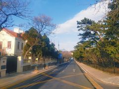 -八大关景区