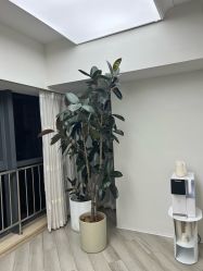 -HEYAN荷妍专业脱毛连锁机构