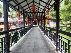 -侨美·唐荔园·40年地道粤菜