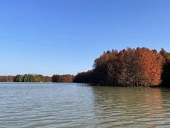 -上海海湾国家森林公园