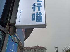-飞行喵MR PILOT|猫舍·猫咖(静安大融城店)