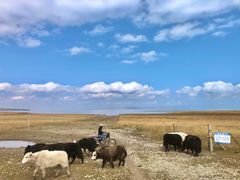 -青海湖国家重点风景名胜区