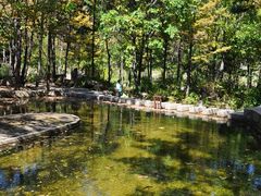 -洛阳白云山景区