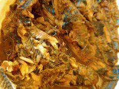 -武清南湖绿博园