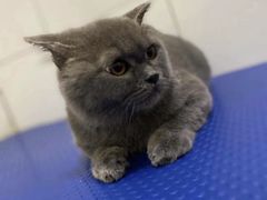 -沐沐家宠物(成寿寺店)