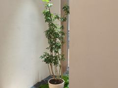 -常乐·对症推拿(长宁来福士店)