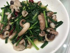 八爪鱼炒韭菜-双井轩(双井店)