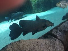 河川生态园-河川生态园