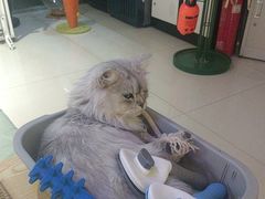 -平行世界·猫咖(首经贸店)