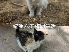 -窦大夫祠