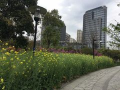 -杭州城北体育公园