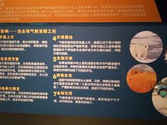 -成都泰迪熊博物馆