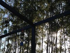 -田园东方蜜桃村的田野营地