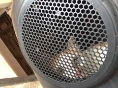 -瑞派动物医院·绝育·犬猫全科·预防医学(光景江南中店)