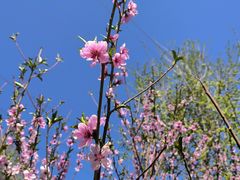 -永定河休闲森林公园