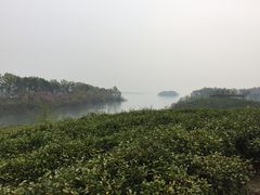 -印象申城酒店