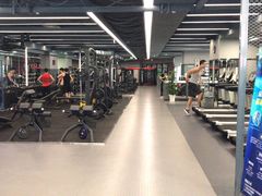 -金吉鸟健身游泳