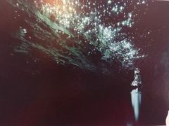 -怀托摩萤火虫洞