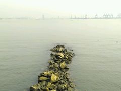 android_upload_pic-海鸥岛