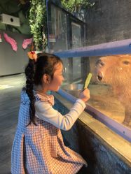 -未来动物城主题公园(正弘城店)