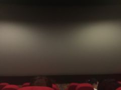 奥斯卡国际影城-奥斯卡国际影城(杜比全景声&4D激光店)